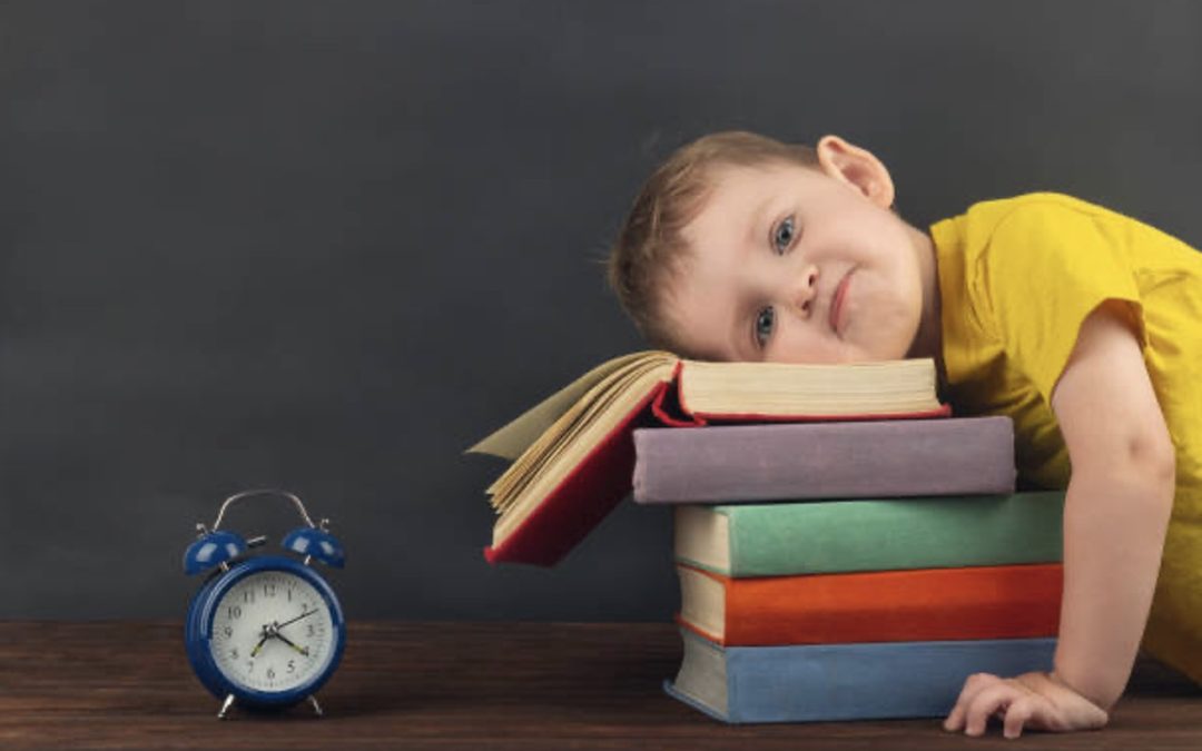Why Self Regulation is Crucial in Early Education