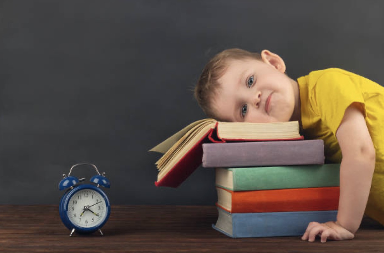 Why Self Regulation is Crucial in Early Education