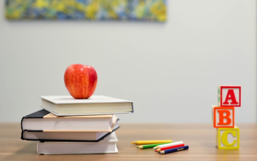 How Can Early Childhood Educators Support Children with Additional Needs?